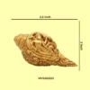 Murtikar Vishnu Shankh Small