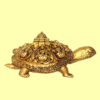 Murtikar Turtle ATHLAXMI