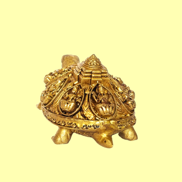 Murtikar Turtle ATHLAXMI